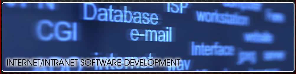 Intranet / Internet Software Development