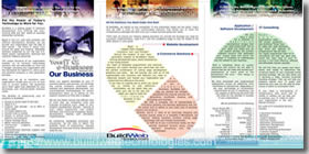 Professional brochure designing - back folds