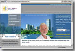 real estate web designing